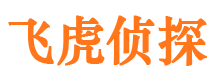 丽水侦探公司